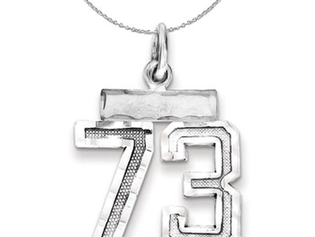 Sterling Silver, Varsity Collection, Small D C Number 73 Necklace For Sale