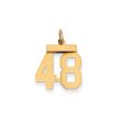 14k Yellow Gold, Athletic Collection, Small Polished Number 48 Pendant Online Hot Sale