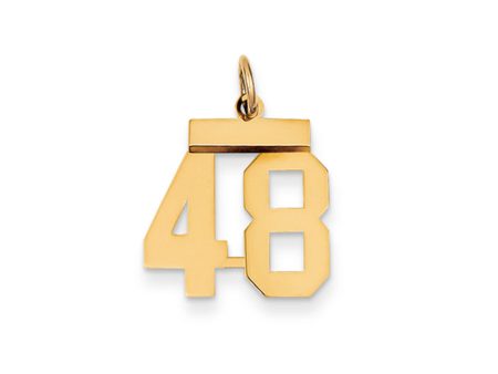 14k Yellow Gold, Athletic Collection, Small Polished Number 48 Pendant Online Hot Sale